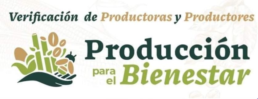 Inicia verificación de registro para acceder al programa producción para el  bienestar